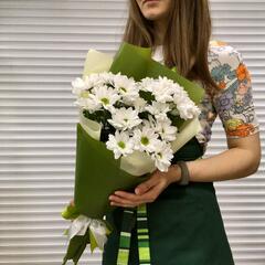 4 кустовых хризантемы